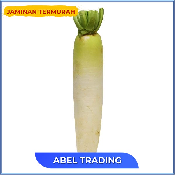 

LOBAK DAIKON 530 GR