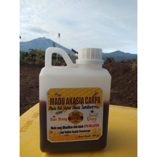 

Madu Murni 100% Asli Hutan Akasia Carpa Lebah Mellifera 500 gr