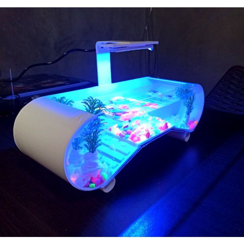 aquarium mini/aquarium kura kura brazil