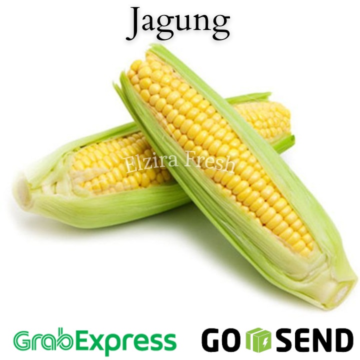 

Jagung Manis Segar Utuh/Kupas (Elzira Fresh) - Utuh