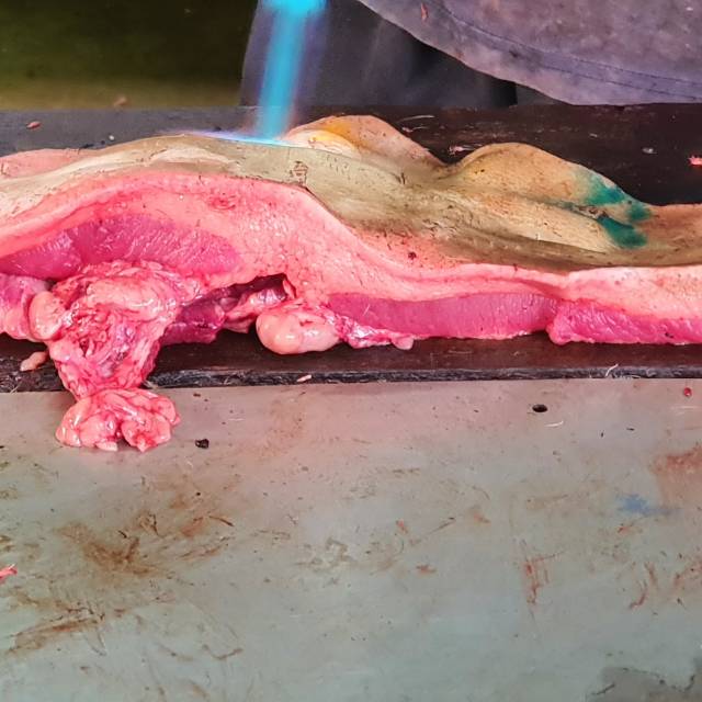 Daging babi leher fresh (Babi Muda) KLAIM VOUCHER TOKO