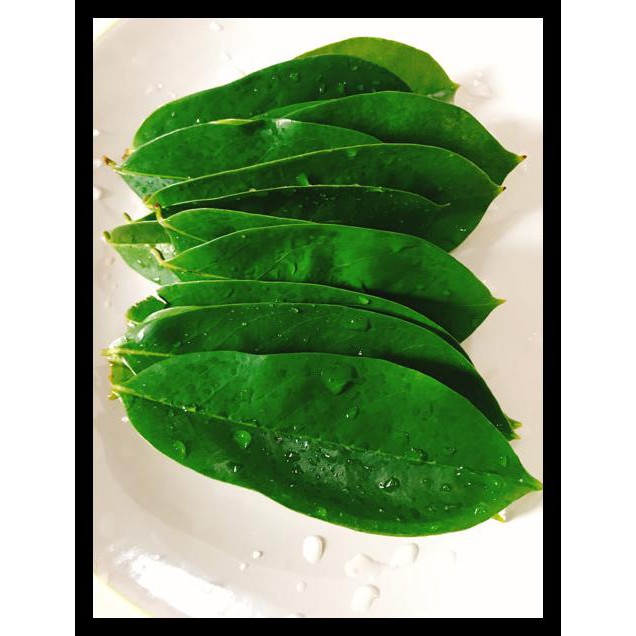 

Daun Sirsak Tua Segar 500 Gram