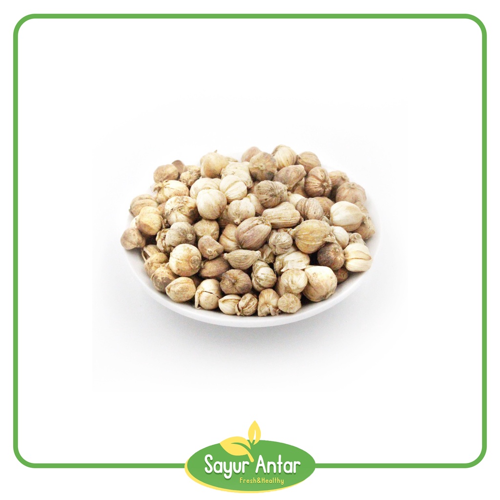 

Kapulaga 30 gr | Sayur.Antar | Free Ongkir Bandung Cimahi