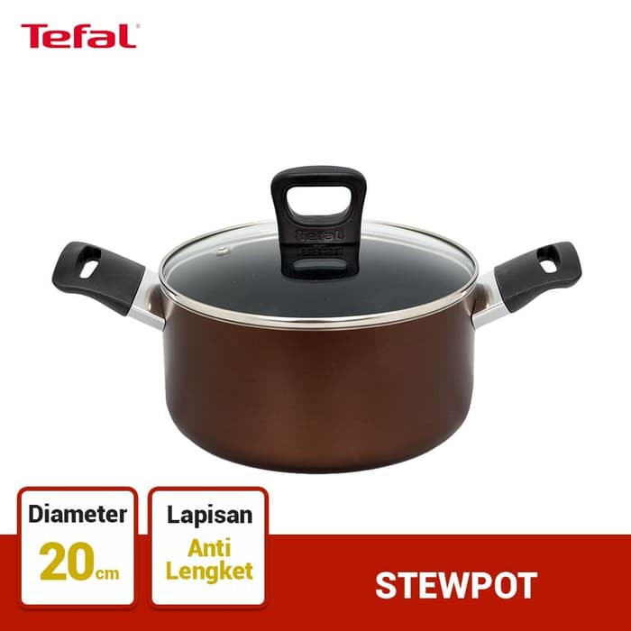 Tefal Day by Day Stewpot 20cm+ lid