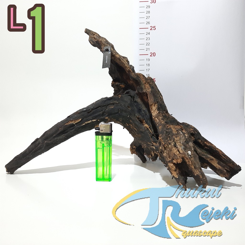 Kayu Rentek Aquascape dan Reptil Ukuran L Rasamala Jati Kayu Rentek Aquascape dan Reptil Ukuran L Rasamala Jati