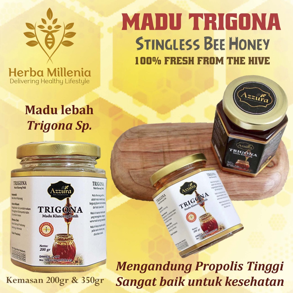 

Madu Trigona | Madu Klanceng | Madu Propolis Asli Azzura
