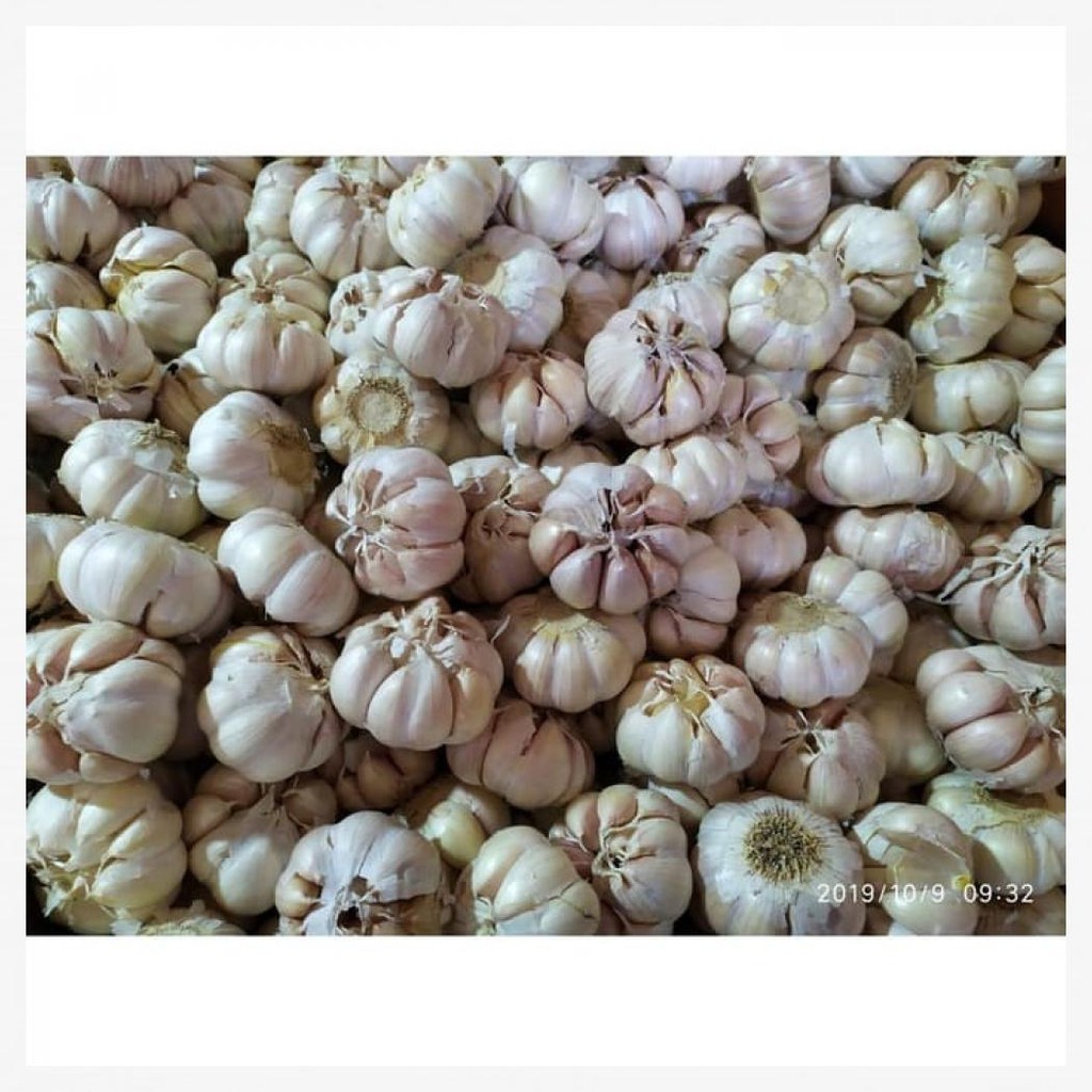 

BAWANG PUTIH SUPER 500GR