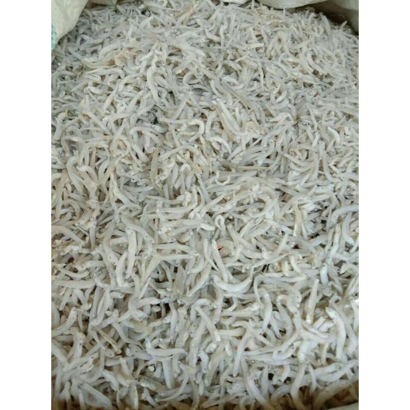 Teri toge kasar medan 1/2kg