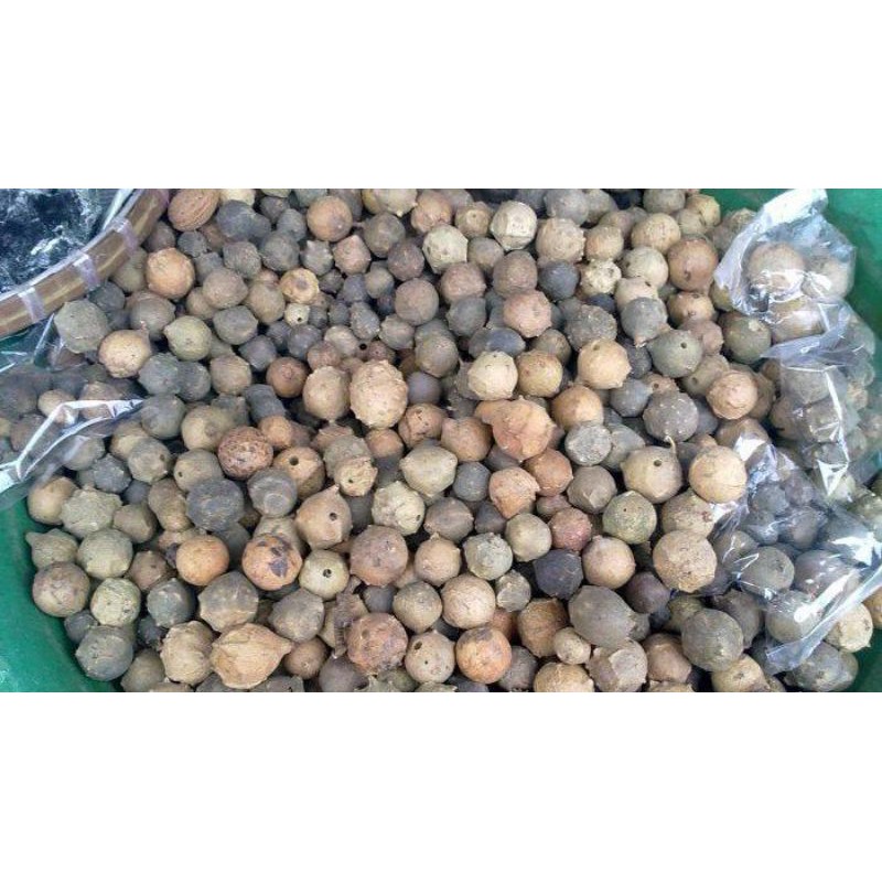 

Manjakani 50g/ Rempah Masak dan Obat/ Majakani Bulat
