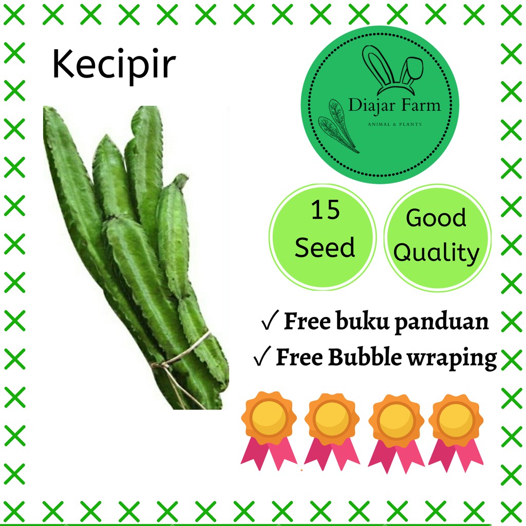 [15 Biji] Benih kecipir | Bibit Sayuran | Benih Sayuran | Bibit Sayuran Hidroponik