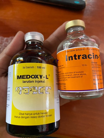 Intracin 10s Oxytocin 10 Obat Memperlancar Memperbanyak Air Susu Sapi Kambing Kerbau Domba Djs Farm Shopee Indonesia