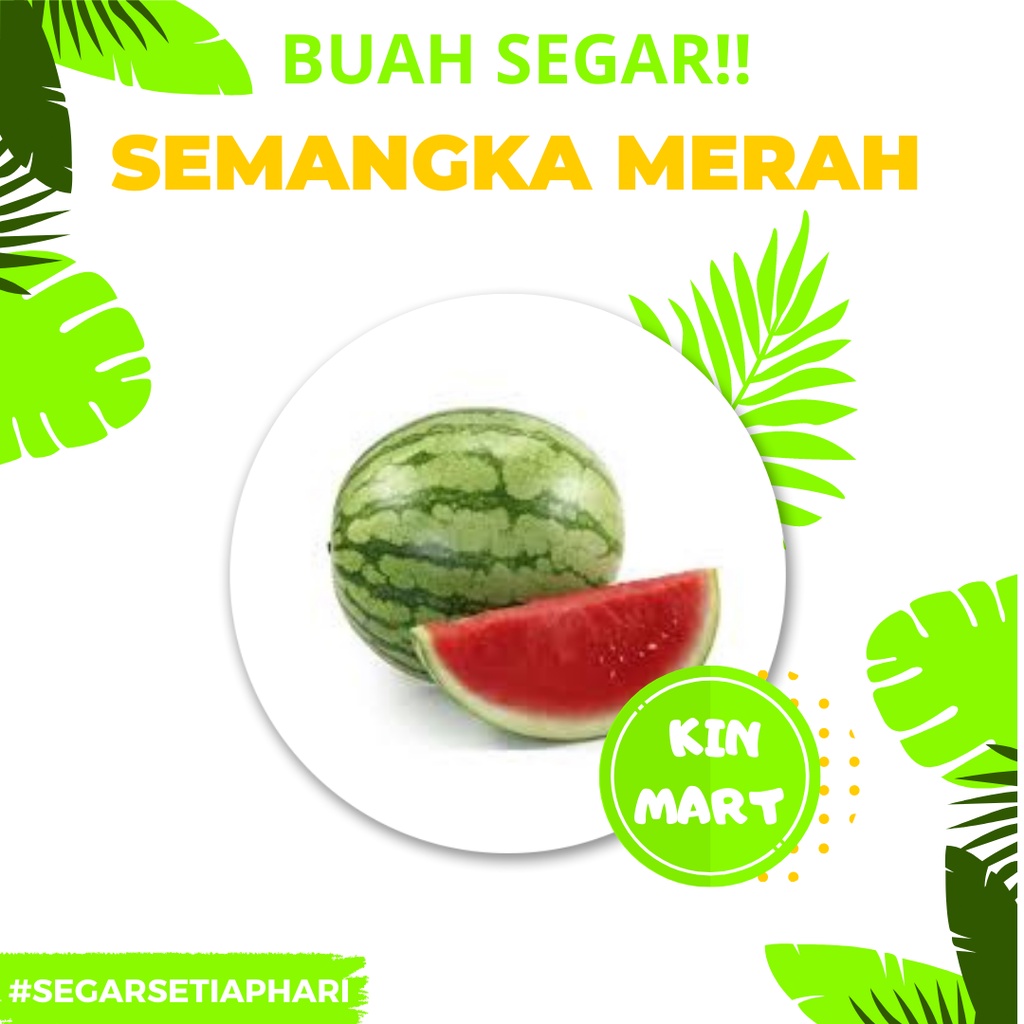 

Semangka Merah | Semangka Murah