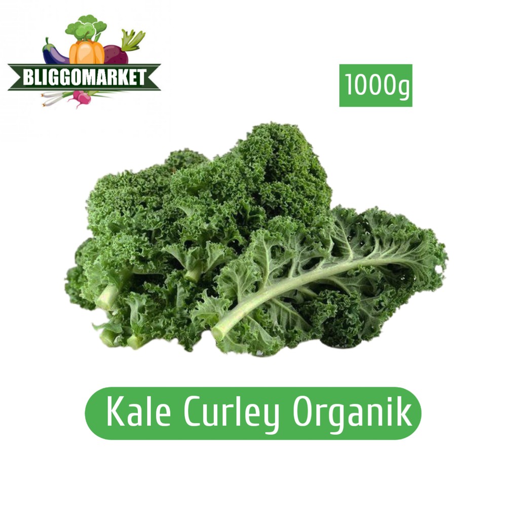 

Kale Curley Organik (Bliggomarket)