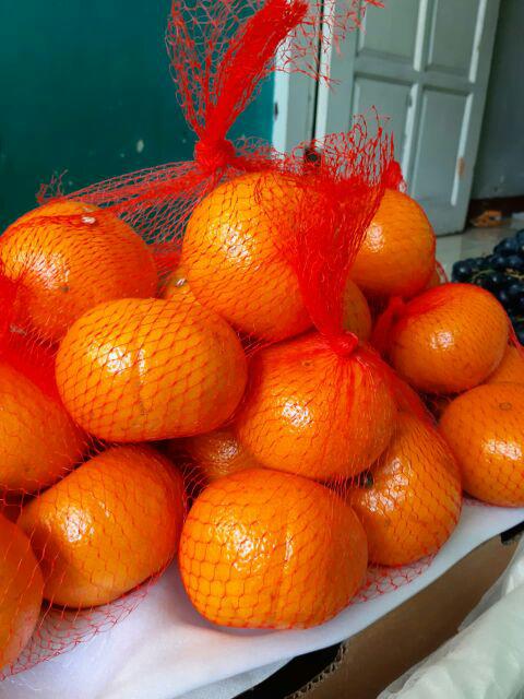 Ready Stock Botol Dispenser Saus Tomat / 3 Lubang 12-24 Oz Bahan Plastik