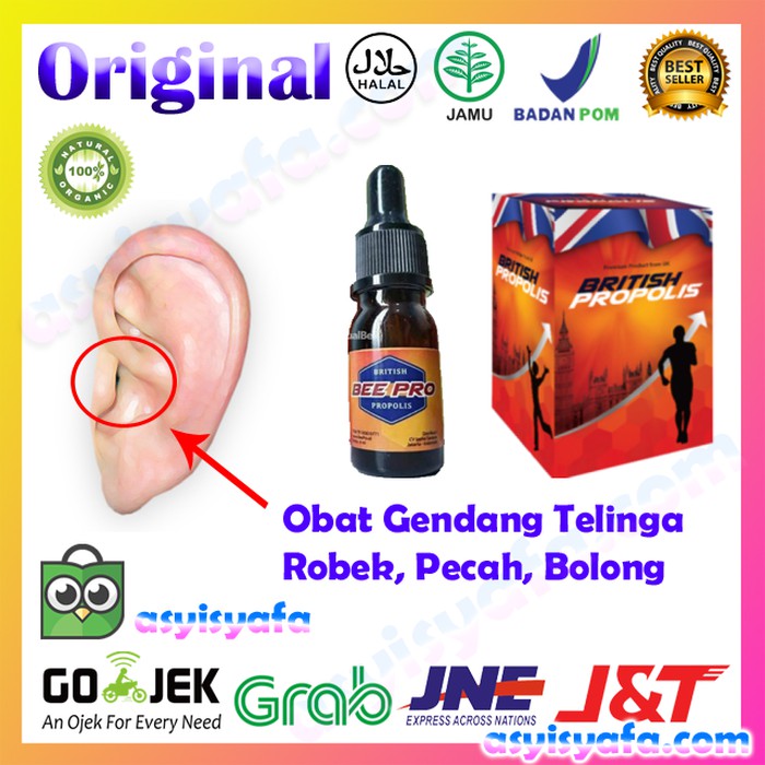 Obat Gendang Telinga Robek Pecah Bolong Herbal British Propolis Shopee Indonesia