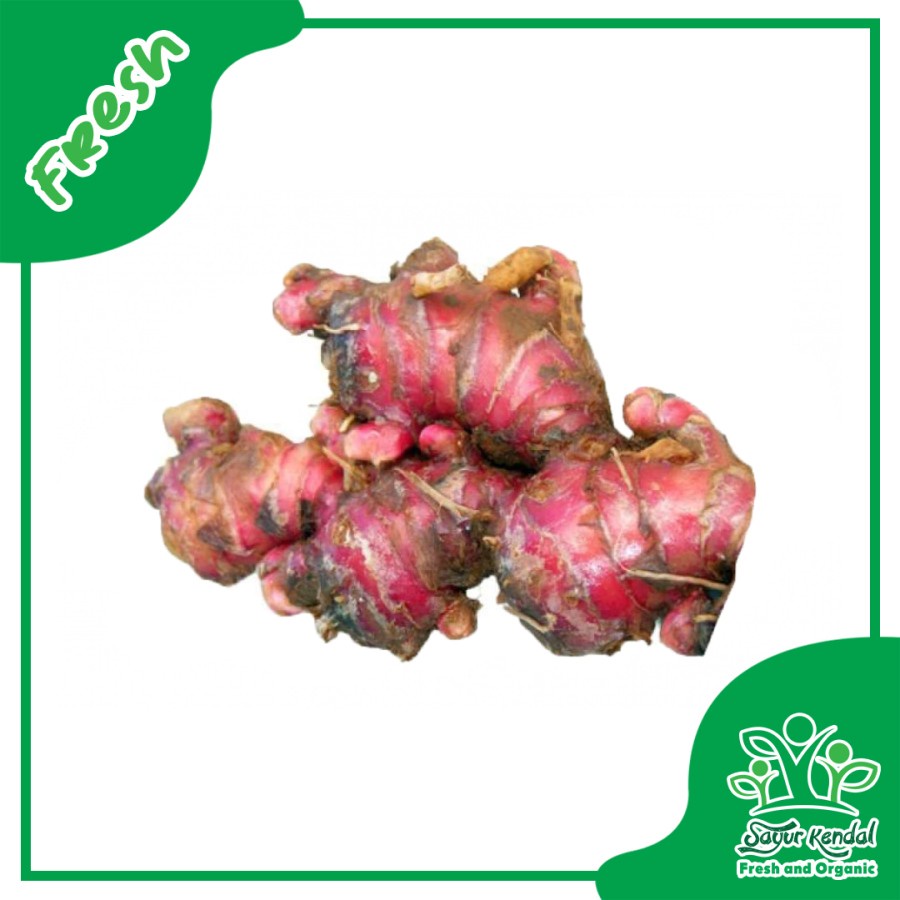 

Jahe Merah - Sayur Kendal