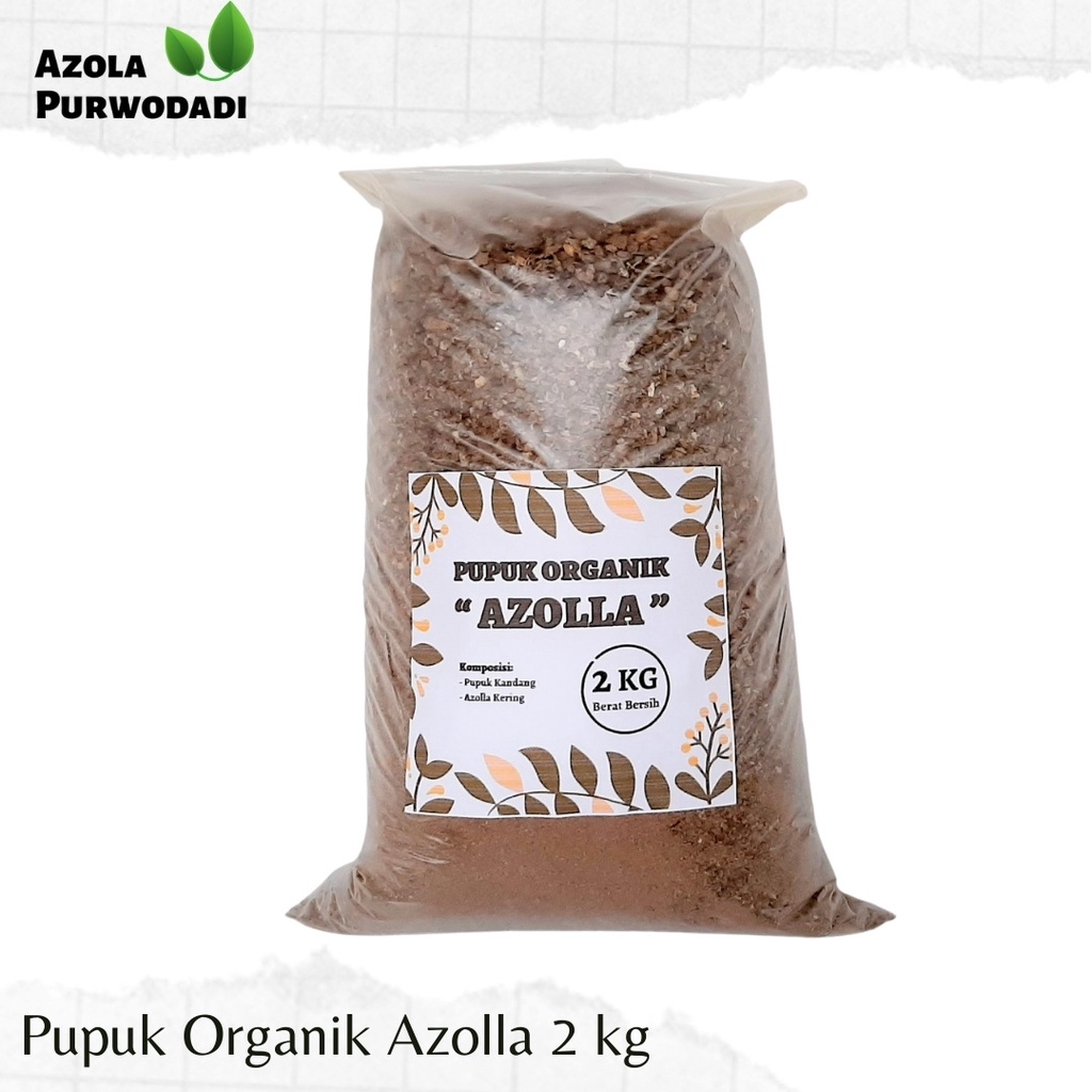Pupuk Organik Azolla 2 kg Bonus Wadah Pupuk | Tas Pouch 25x30 cm | Pupuk Tanaman Organik