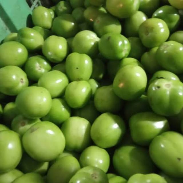 

Tomat hijau 250gr