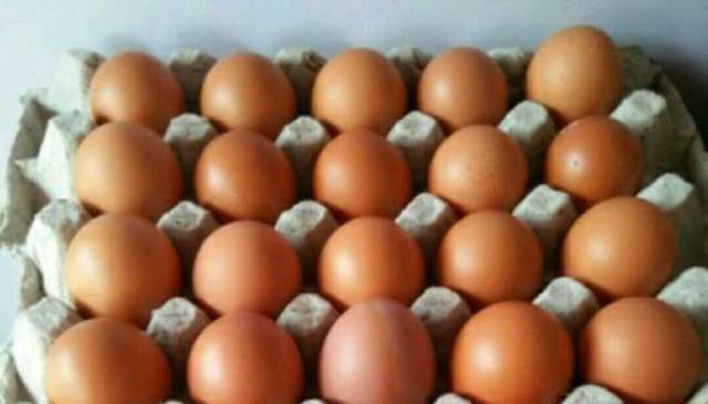 

RB Telur Negri Lokal Fresh GRADE A 1 tray isi 30 butir