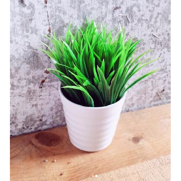 Naindo Bunga Rumput Hias dengan pot melamin cantik hiasan ruang tamu dan kantor