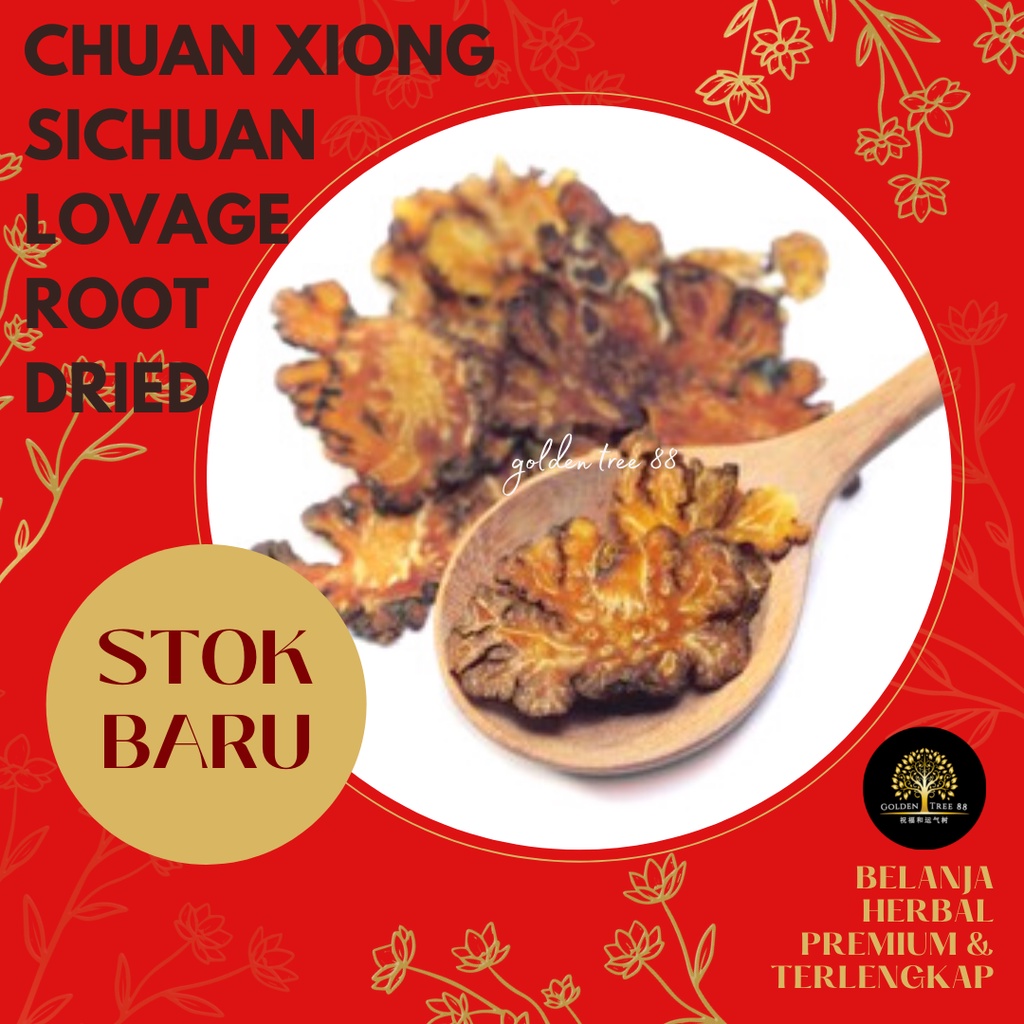 

600 gram Premium Chuan Xiong Sichuan Lovage Cuan Kiung Fresh Original