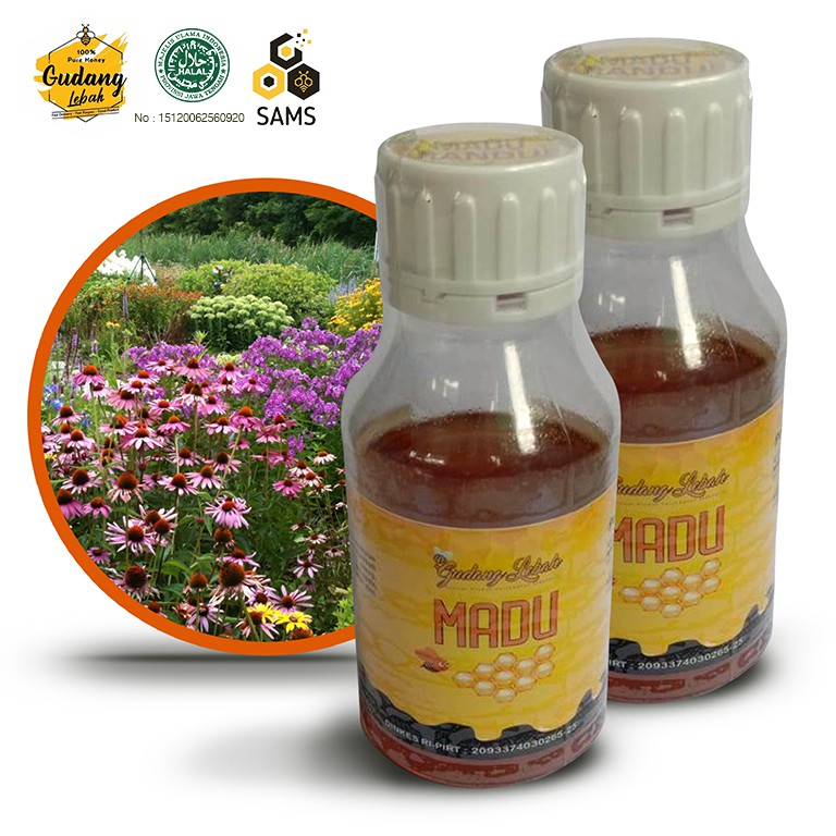 

Madu Nektar Multiflora / Madu Asli 500 gram / Madu Asli Nektar Bunga / Madu Lebah Apis Melifera