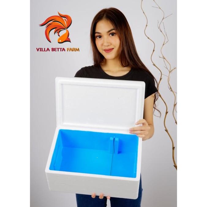 BISA BAYAR DITEMPAT Styrofoam Box Sterofoam Breed Penjodohan Ternak Ikan Cupang BOOM SALE Kode 790