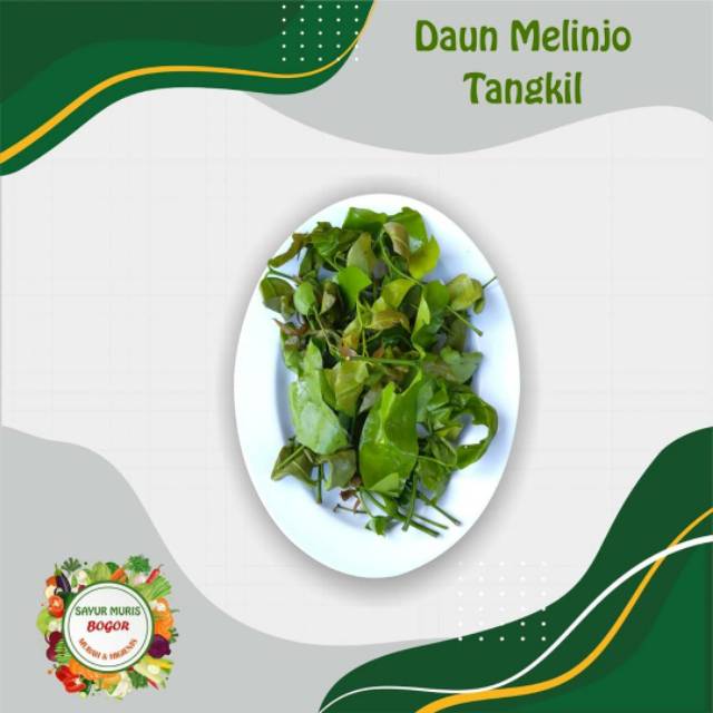 

Daun melinjo murah / 100gr
