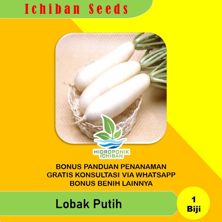 Benih Bibit Biji LOBAK MING HO Warna Putih Kemasan Seribuan