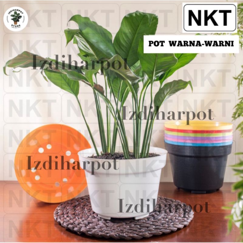 pot bunga tanaman nkt polos mini 8 warna warni - NKT POLOS MINI