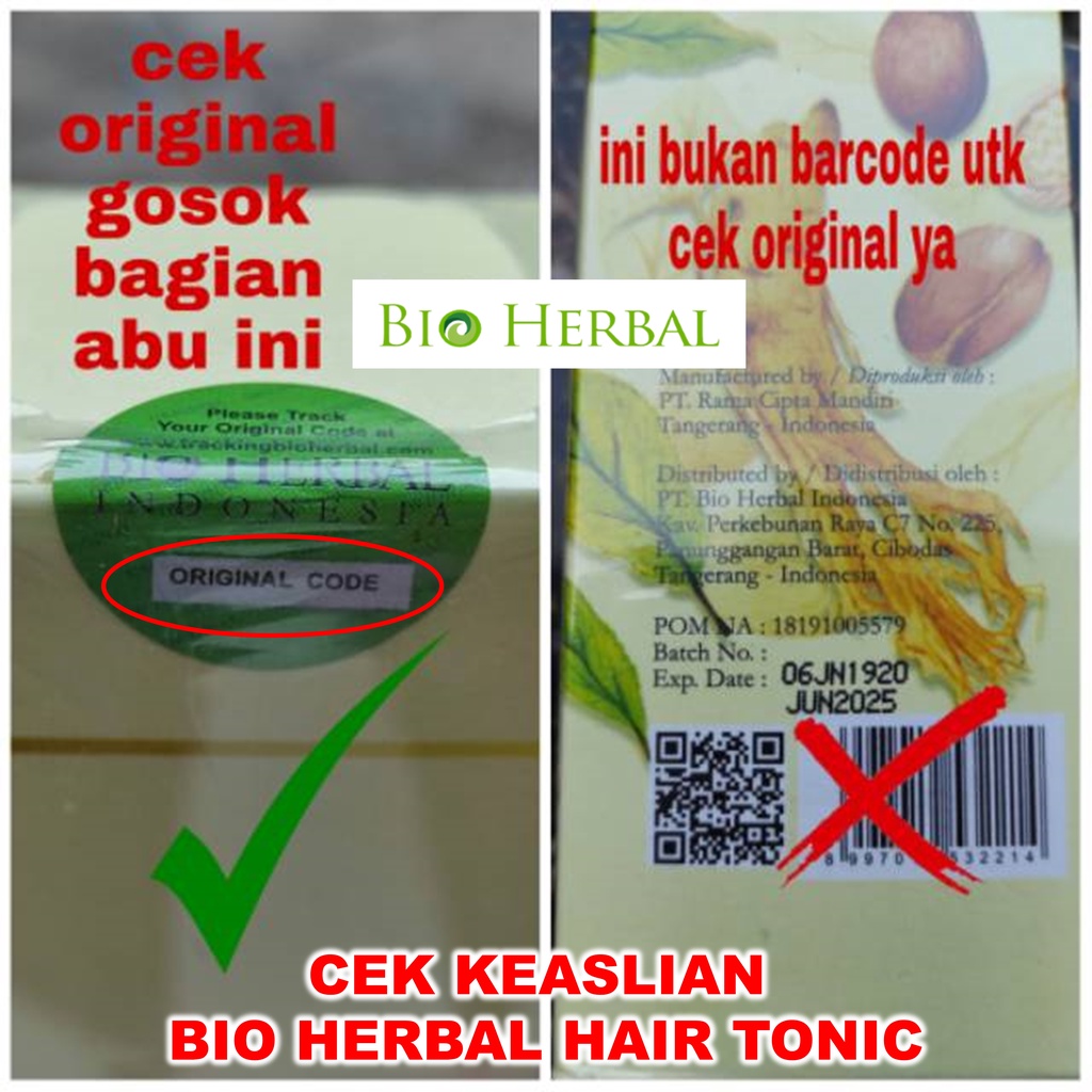 Perawatan Rontok Parah Dan Ketombe Penyubur Rambut Ginseng Ampuh BPOM B3P