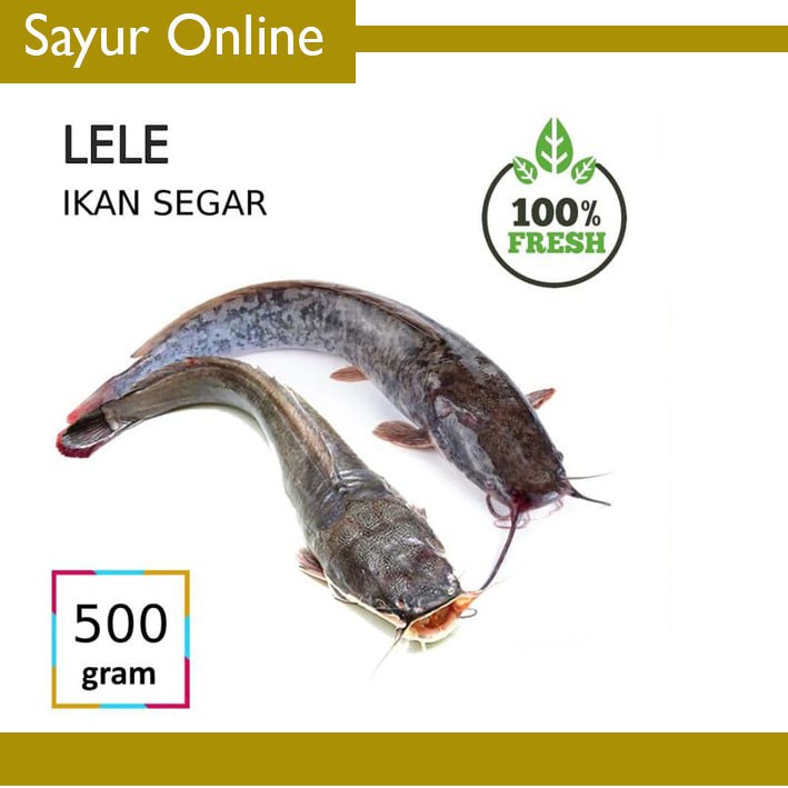 

[SayurOnline] IKAN LELE [500g]