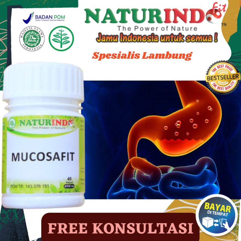 Jual Mucosafit Obat Lambung Maag Akut Gert Dispepsia Syndrom Dan