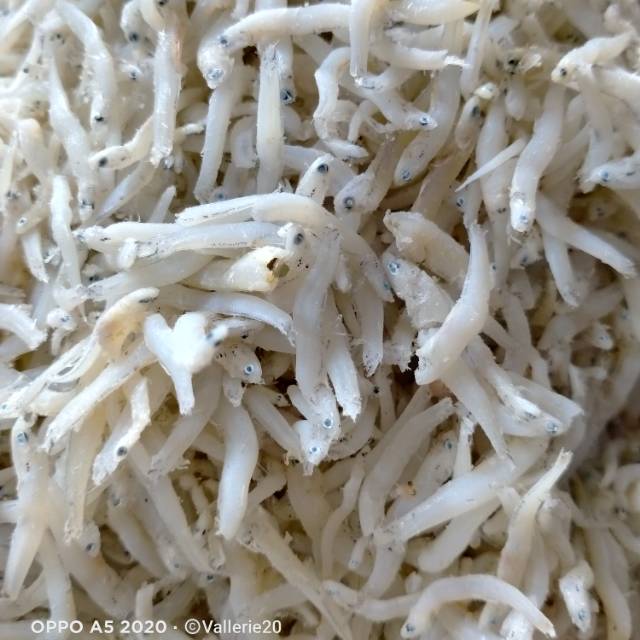 

Ikan teri toge medan tanjung balai 250g