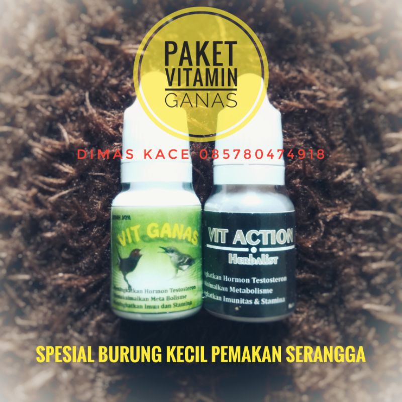 Paket vit ganas untuk prenjak dimas kace indah jaya herbal