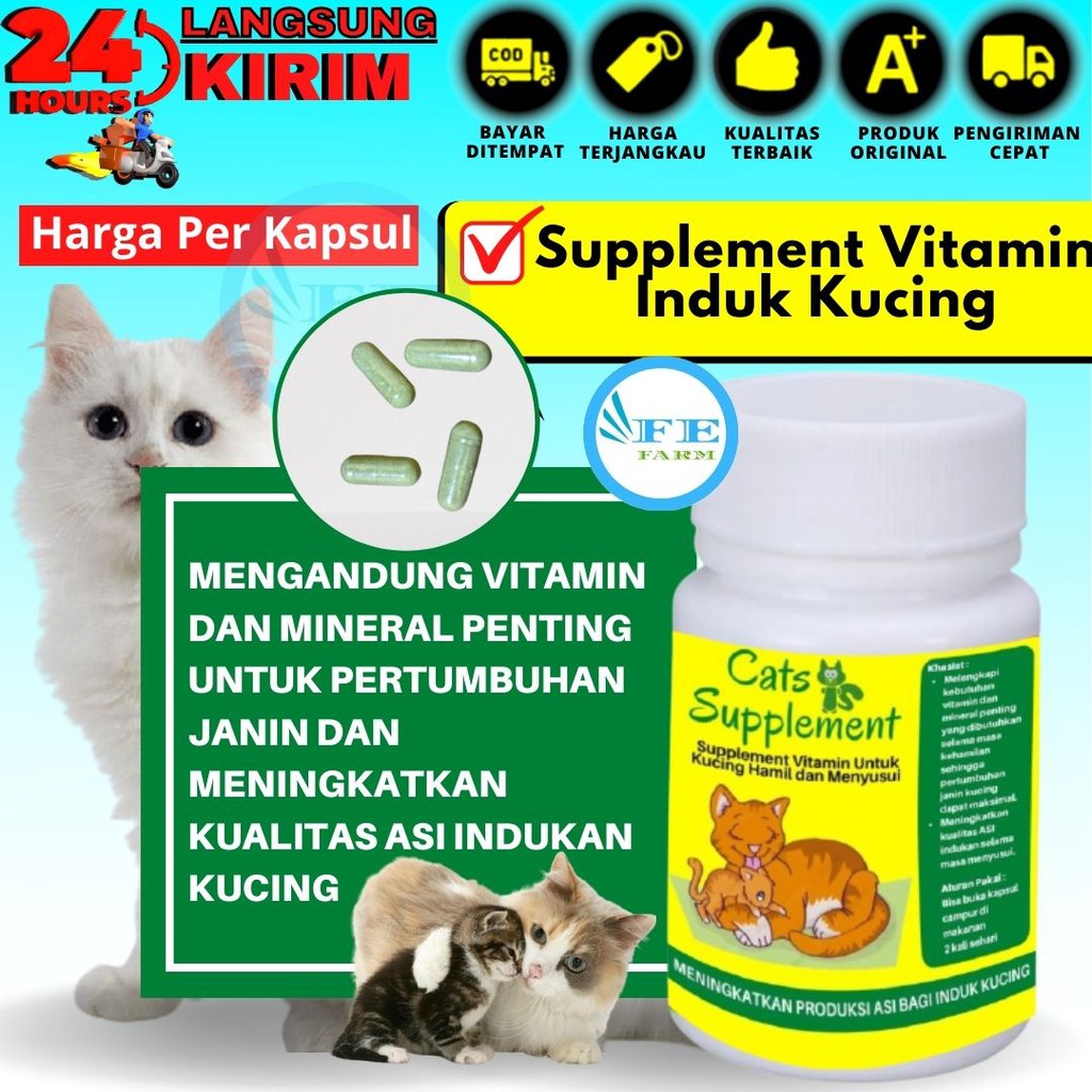 Supplement Vitamin Untuk Kucing Hamil dan Menyusui FEFARM