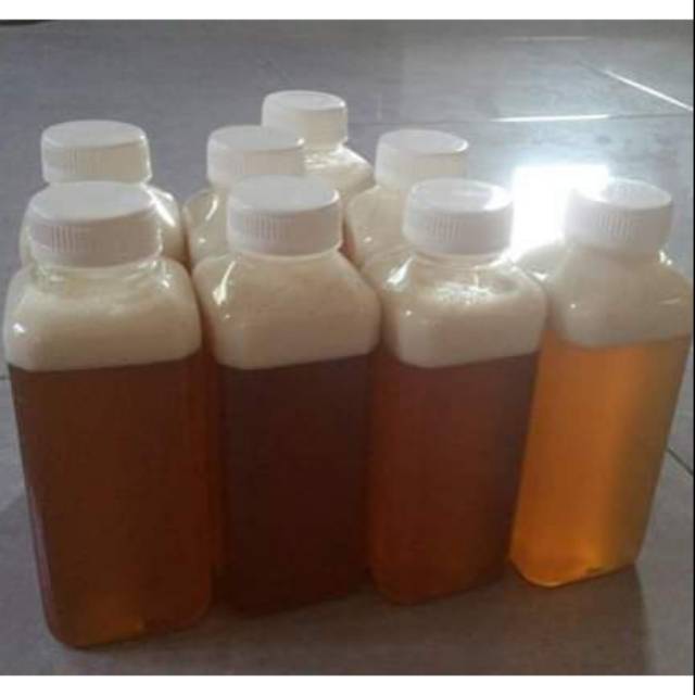 

Madu Asli Hutan Ujung Kulon