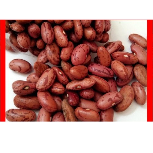 

Kacang Merah Kering 250gr | Pasar Induk Pekanbaru #Harga_Grosir