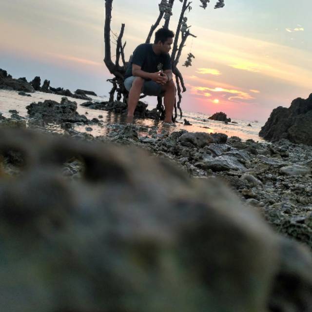 dimassholihuddinhamid