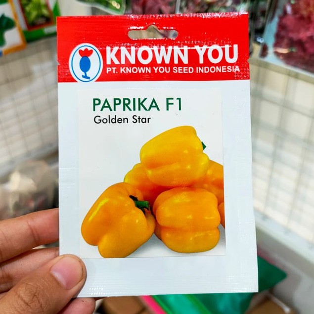 KYS - benih PAPRIKA KUNING GOLDEN STAR isi 15 biji - benih paprika - known you seed