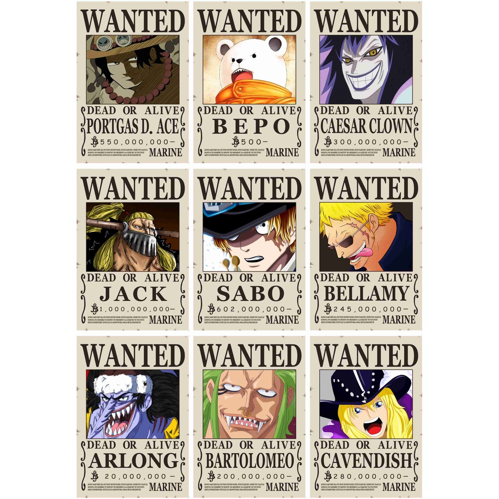 Poster Bounty One Piece Random