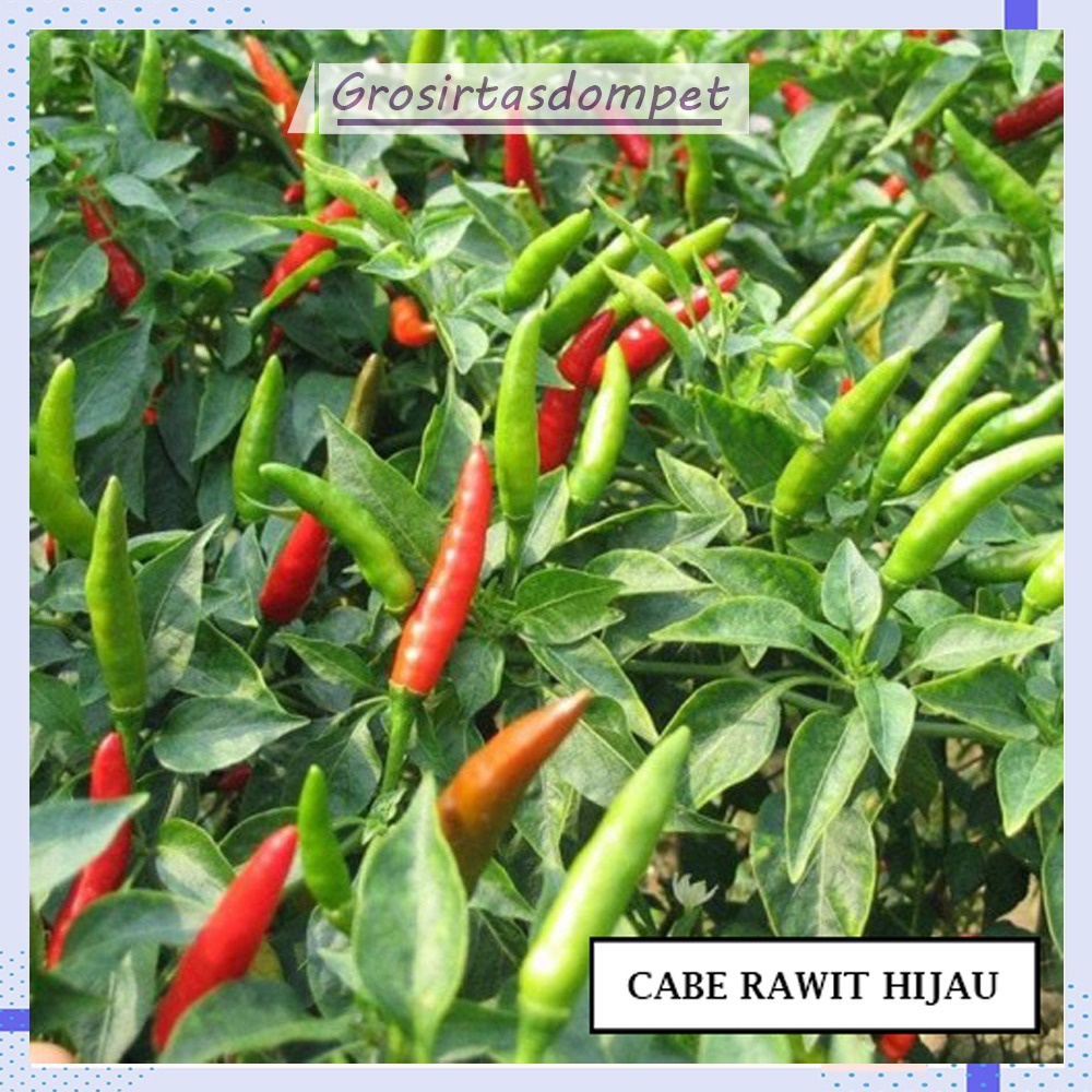 Jual Bibit Cabai Rawit Merah Benih Cabe Tanaman Sayuran Kemasan Repack