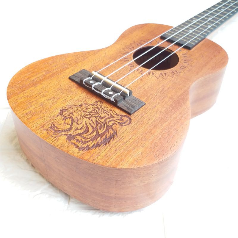 Ukulele Concert Concerto Santo