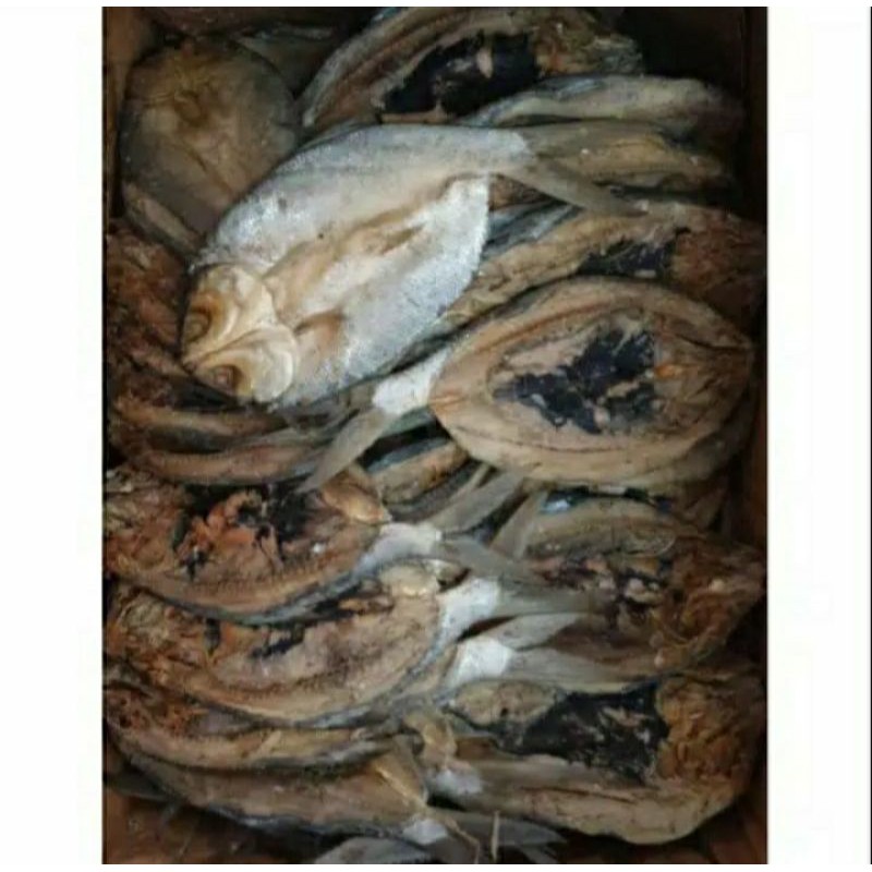 

Ikan Asin Bandeng Belah 1 kg