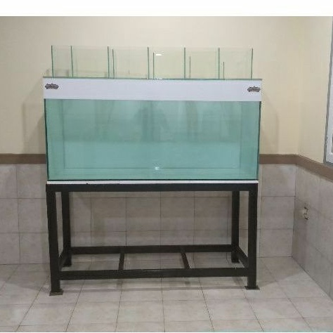 PAKET 150X60X60 FULL 12MM & RAK HOLO 4X6 & TOP FILTER FULL BEGROUND AQUARIUM