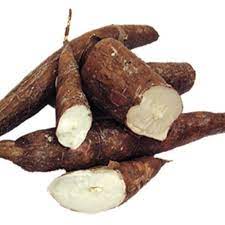 

Singkong buah segar 1kg