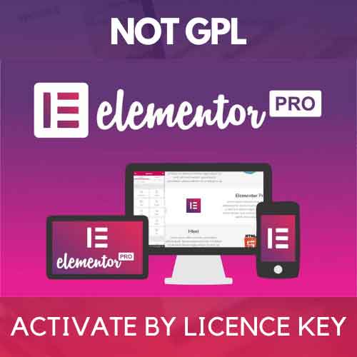 Elementor Pro Wordpress