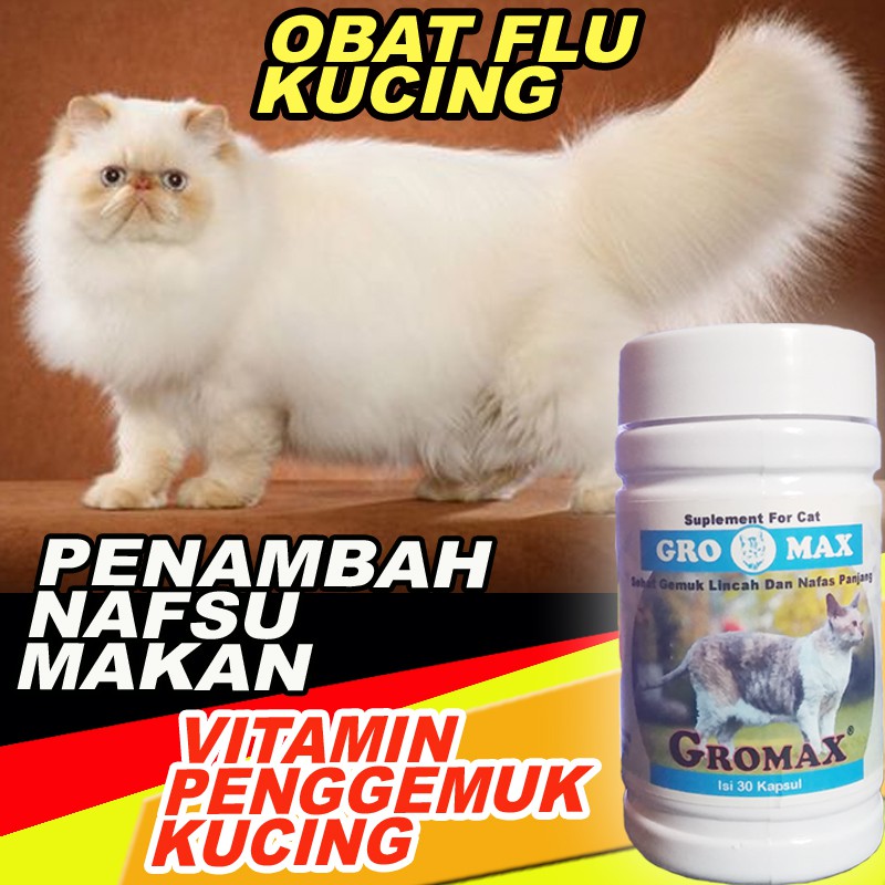 Gm14 Obat Flu Kucing Vitamin Kucing Gemuk Vitamin Kucing Nafsu Makan Penambah Nafsu Makan Gromax Shopee Indonesia