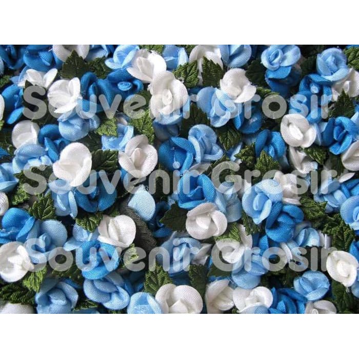 

BUNGA B3K IMUT BIRU