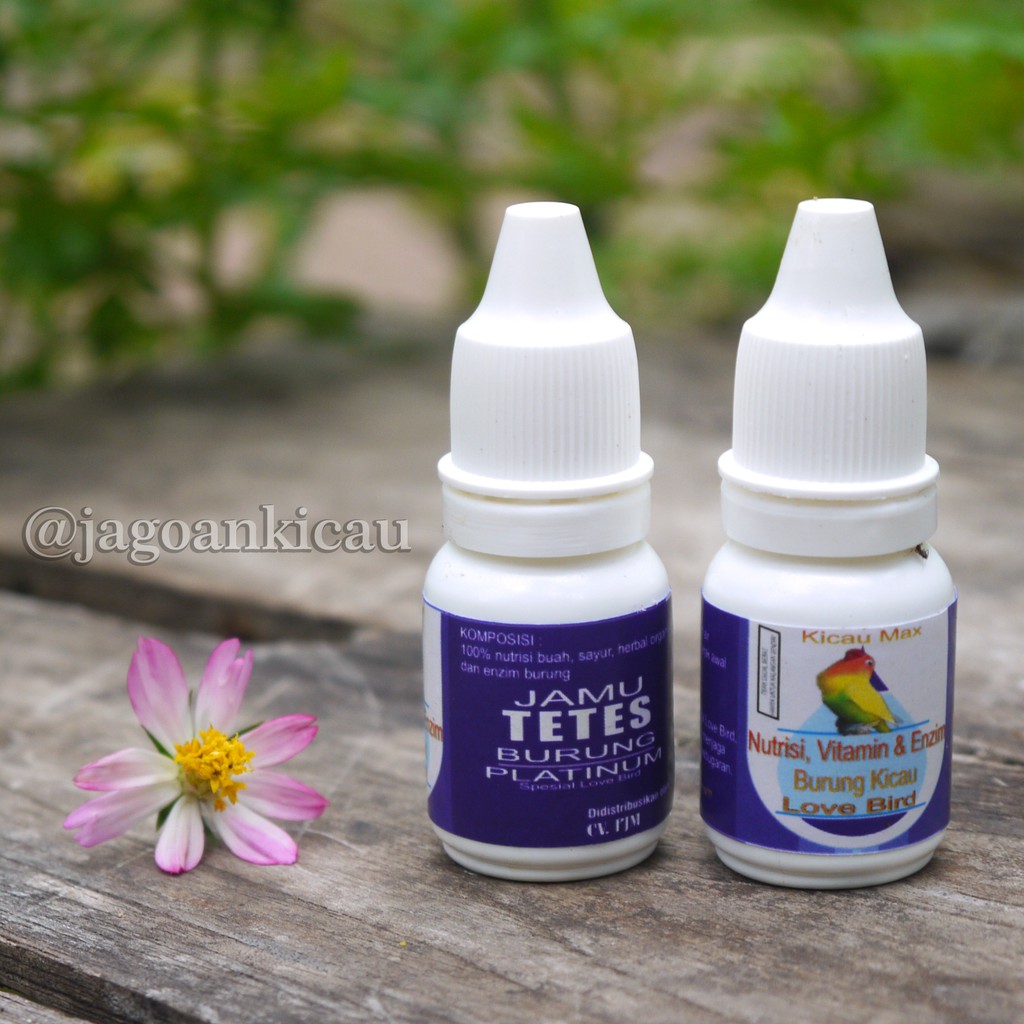 KICAU MAX Jamu Tetes Burung Kicau Platinum Penggacor Seketika Lovebird Bukan Tbs-1